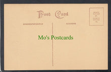 Load image into Gallery viewer, Lincolnshire Postcard - Crowland, Triangular Bridge - Mo’s Postcards 
