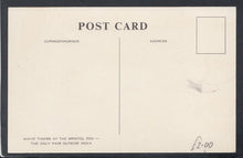 Load image into Gallery viewer, Animals Postcard - White Tigers at The Bristol Zoo - Mo’s Postcards 

