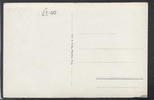 Load image into Gallery viewer, Animals Postcard - Zoo - Bears - Bern - Barengraben - Mo’s Postcards 
