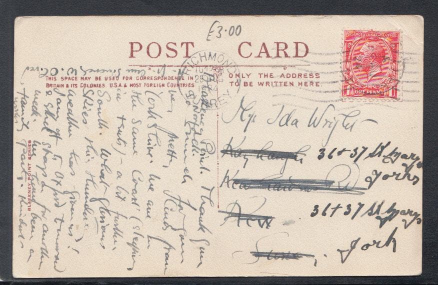Animals Postcard - Birds - Oyster Catcher's Nest, 1924 - Mo’s Postcards 