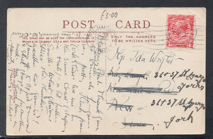 Animals Postcard - Birds - Oyster Catcher's Nest, 1924 - Mo’s Postcards 