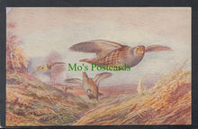 Load image into Gallery viewer, Animals Postcard - British Game Birds - Partridges (Oilfacsim) - Mo’s Postcards 
