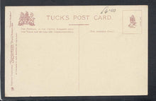 Load image into Gallery viewer, Animals Postcard - Two Birds - Politics - Gambier - Mo’s Postcards 
