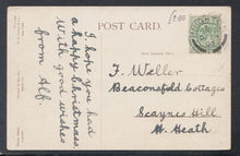 Load image into Gallery viewer, Animals Postcard - Plover Birds and Their Nest, 1907 - Mo’s Postcards 
