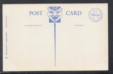 Load image into Gallery viewer, Comic Postcard - Couple / Bed / B &amp; B / Drink / Tea / Bed Pan - Trow - Mo’s Postcards 
