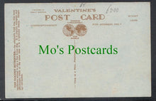 Load image into Gallery viewer, Dogs - The Golden Retriever
