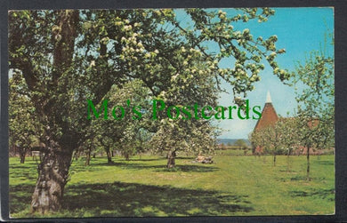 Springtime in Kent Postcard