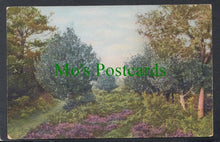 Load image into Gallery viewer, Trees - Beauty Spots of England, New Forest
