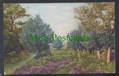 Trees - Beauty Spots of England, New Forest