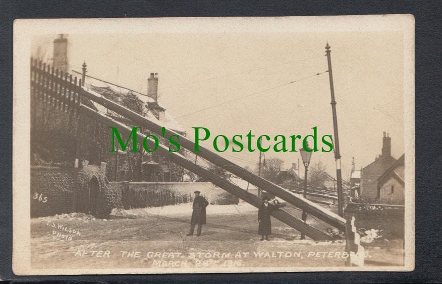 After The Great Storm at Walton, Peterborough