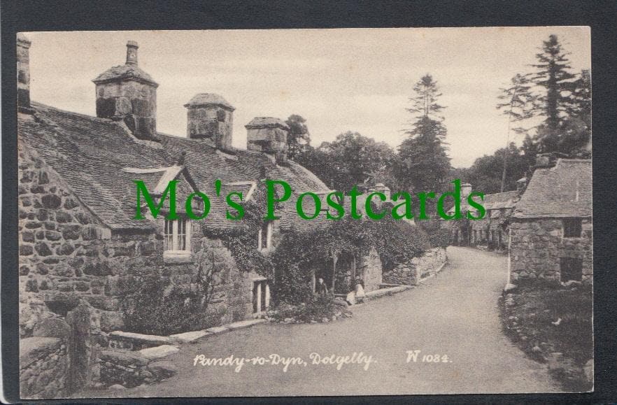 Pandy-Ro-Dyn, Dolgelly, Wales