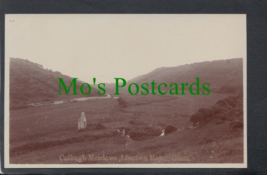 Colhugh Meadows, Llantwit Major, Glamorgan