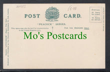 Load image into Gallery viewer, Terrace Road, Aberystwyth, Wales
