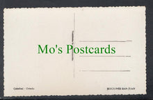 Load image into Gallery viewer, Oviedo Cathedral, Spain
