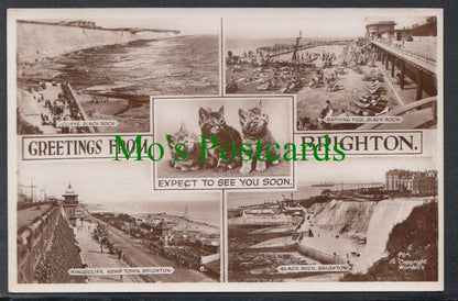 Greetings From Brighton, Sussex