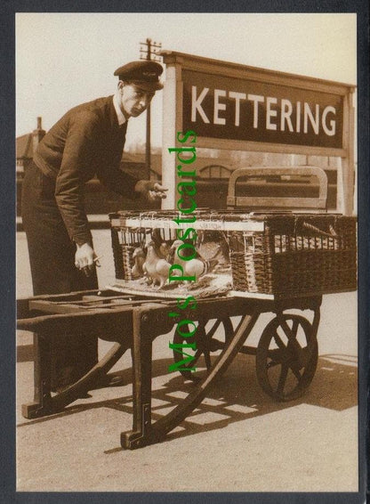 Kettering Train Station - Basket of Pigeons