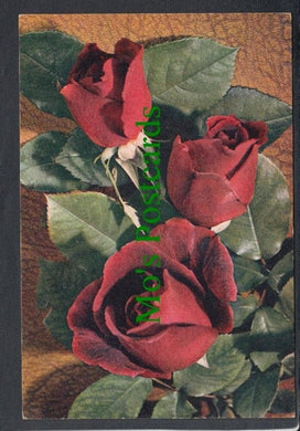 Nature Postcard - Flowers - Hybrid Tea Rose