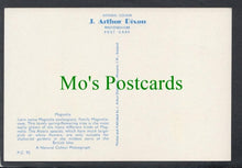 Load image into Gallery viewer, Nature Postcard - Flowers - Magnolia
