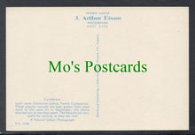 Load image into Gallery viewer, Nature Postcard - Flowers - Cornflower
