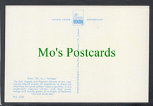 Load image into Gallery viewer, Nature Postcard - Flowers - Rose &quot;Dr A.J.Verhage&quot;
