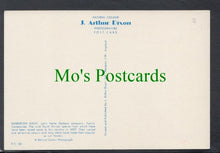 Load image into Gallery viewer, Nature Postcard - Flowers - Barberton Daisy
