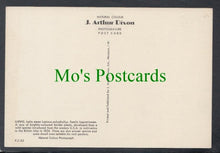 Load image into Gallery viewer, Nature Postcard - Flowers - Lupins
