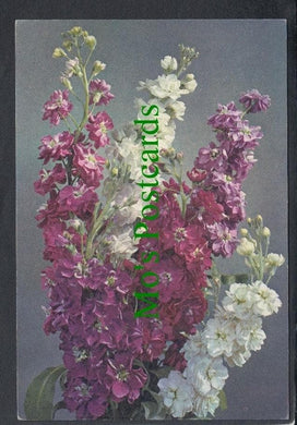 Nature Postcard - Flowers - Stock