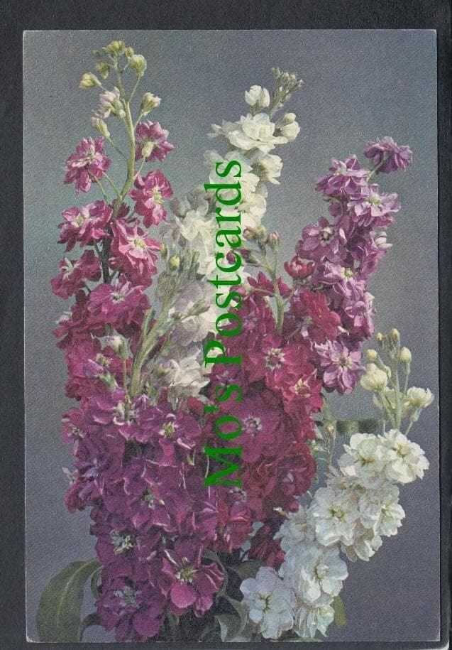 Nature Postcard - Flowers - Stock