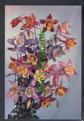 Nature Postcard - Flowers - Columbine