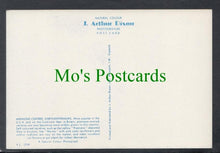 Load image into Gallery viewer, Nature Postcard - Flowers - Chrysanthemums
