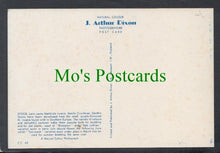 Load image into Gallery viewer, Nature Postcard - Flowers - Stock
