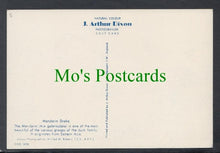 Load image into Gallery viewer, Birds Postcard - Mandarin Drake
