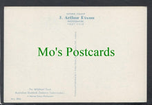 Load image into Gallery viewer, Birds Postcard - Australian Shelduck
