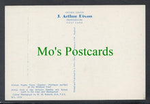 Load image into Gallery viewer, Birds Postcard - African Pygmy Goose
