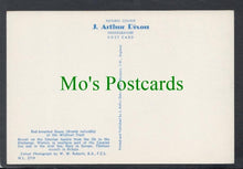 Load image into Gallery viewer, Birds Postcard - Red-Breasted Goose
