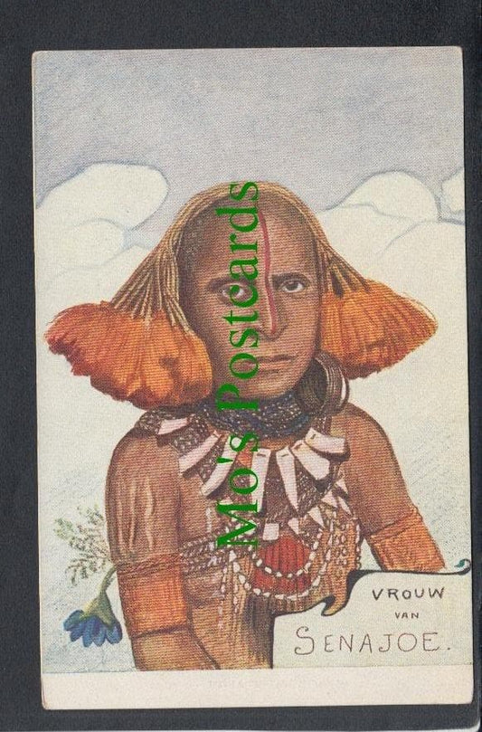 Woman From Netherlands New Guinea
