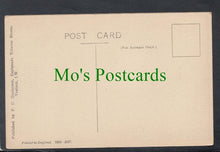 Load image into Gallery viewer, The Pond, Bonchurch, Isle of Wight
