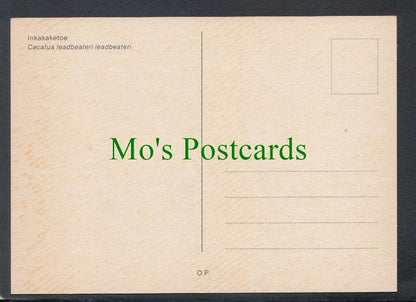 Birds Postcard - Major Mitchell's Cockatoo