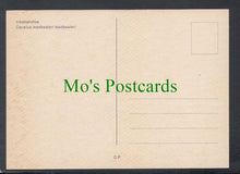 Load image into Gallery viewer, Birds Postcard - Major Mitchell&#39;s Cockatoo
