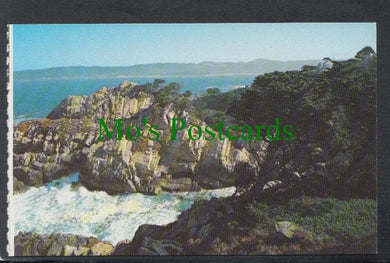 Point Lobos State Reserve, Carmel Bay, California