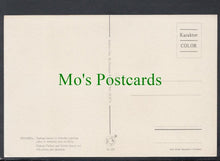 Load image into Gallery viewer, Topkapi Palace, Istanbul, Turkey
