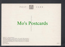 Load image into Gallery viewer, Birds Postcard - Blue Tit (Parus Caeruleus)
