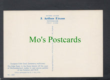 Load image into Gallery viewer, Birds Postcard - European Eider Duck
