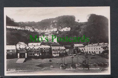Clovelly From The Harbour, Devon