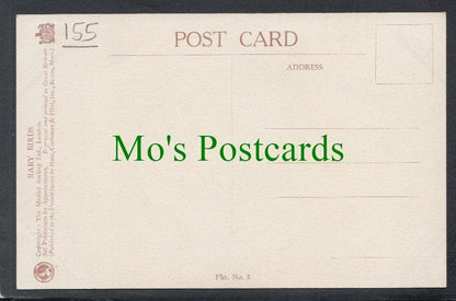 Birds Postcard - Young White Throats
