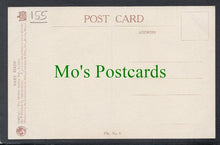 Load image into Gallery viewer, Birds Postcard - Young White Throats
