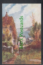 Load image into Gallery viewer, Above The Bay, Clovelly, Devon
