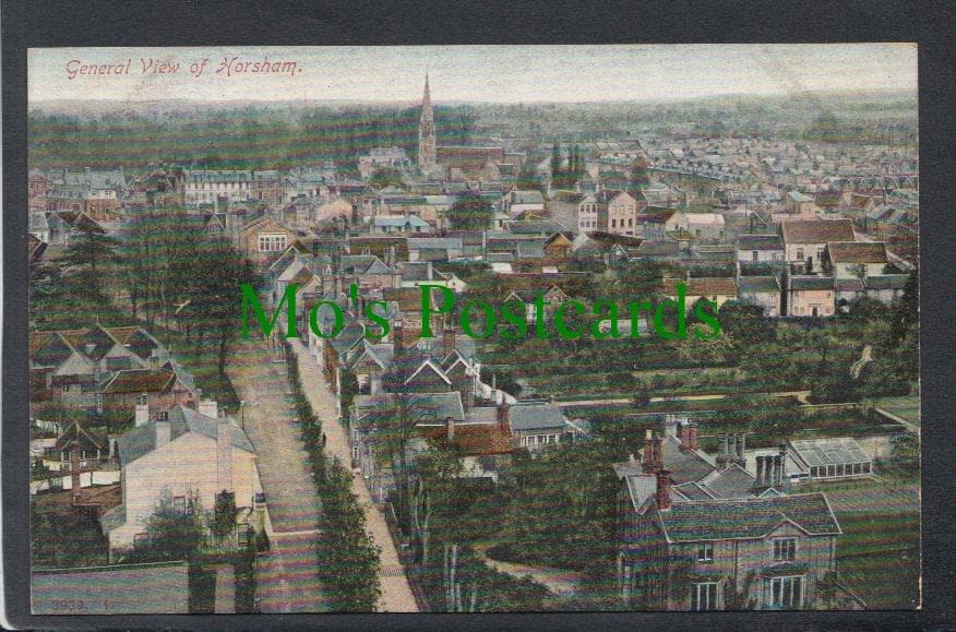 General View of Horsham, Sussex