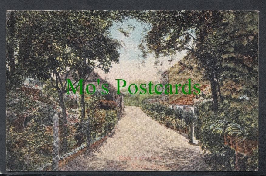 Cook's Orchard, Bostall Wood, Plumstead