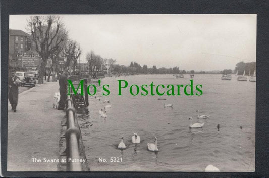 The Swans at Putney, London